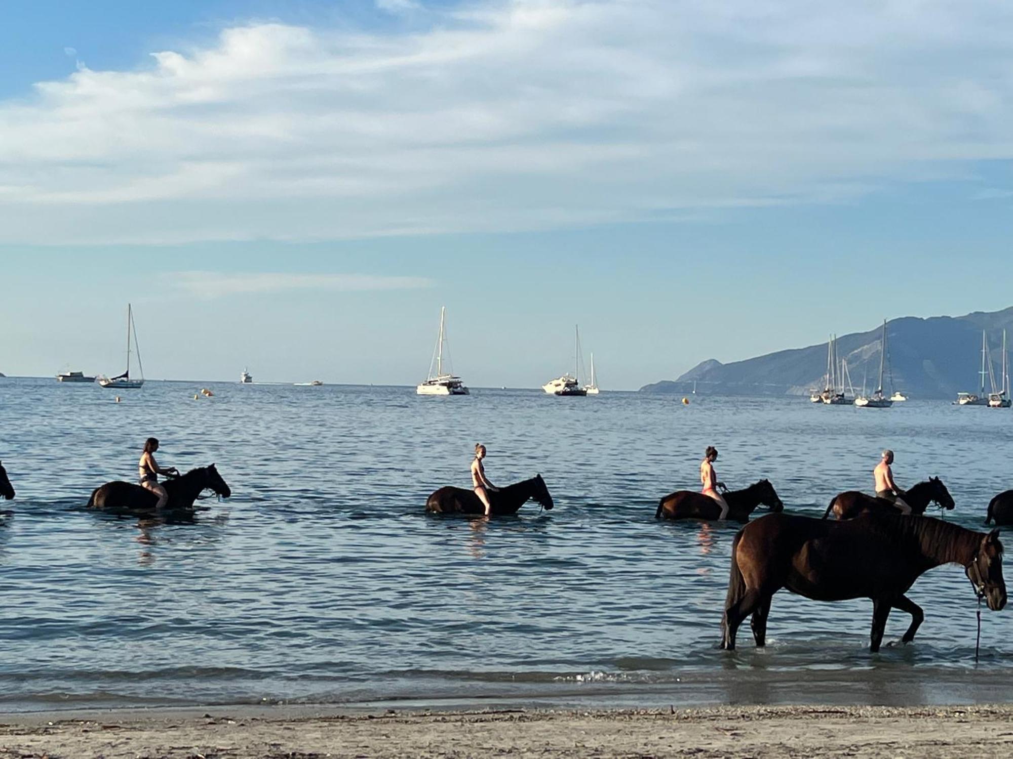 Gite Au Paradis, Parc Animalier Olmeta-di-Tuda 외부 사진