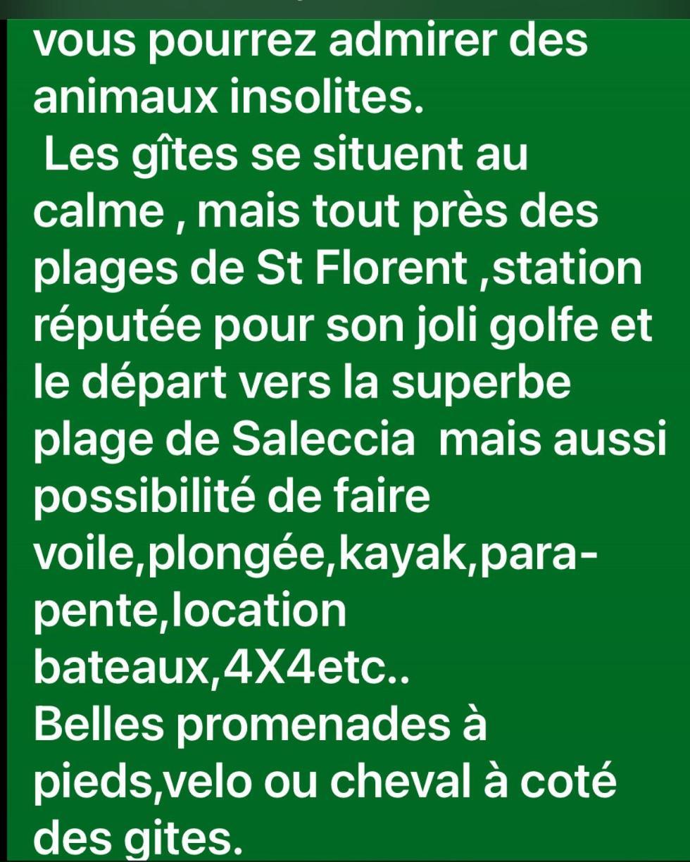 Gite Au Paradis, Parc Animalier Olmeta-di-Tuda 외부 사진